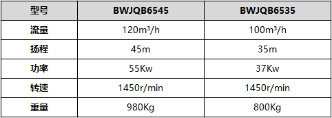 BWJQB系列剪切泵技術(shù)參數(shù)